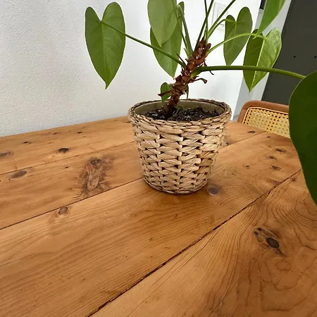 Lägenhet Likya *
